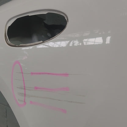 Porsche Panamera 970 Rear Right Door Shell 97053201202 GRV Carrara White B9A / B4