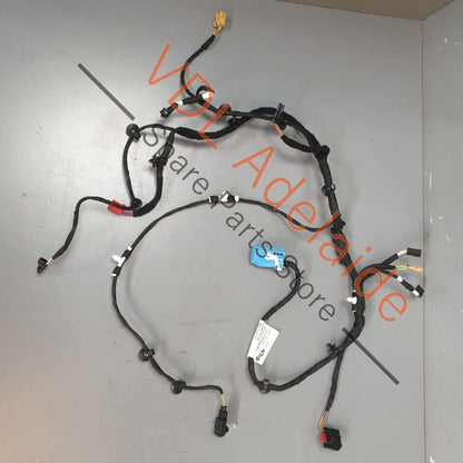 Porsche Panamera 971 S Turismo Front Passenger Side Door Wiring Set 971971162AH 971971162AH